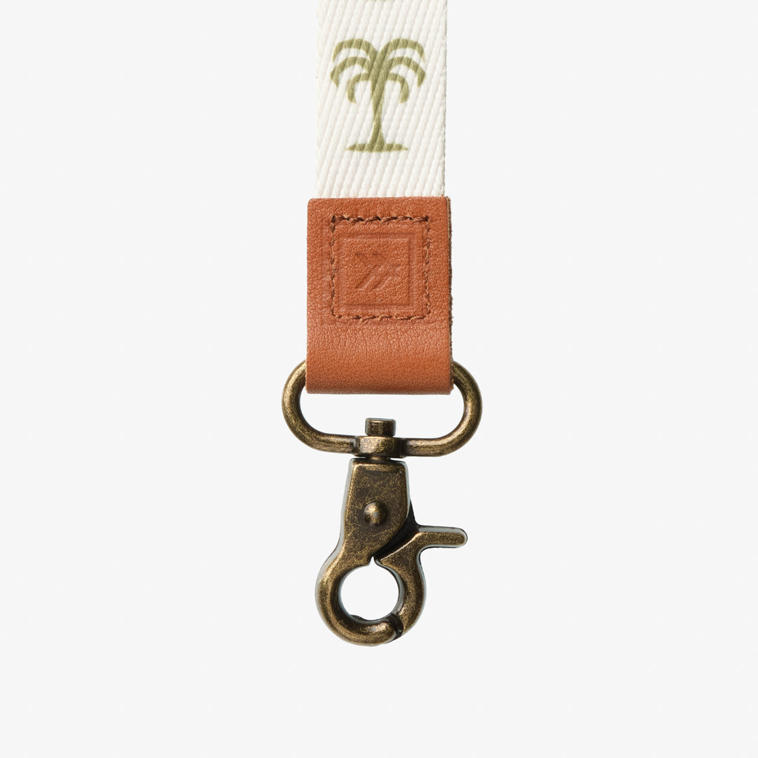 PALM TREE