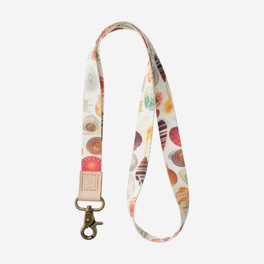 SHORELINE · THREAD | スレッド